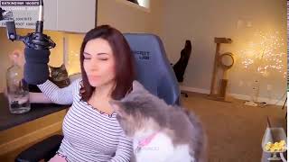 Alinty Tames A Cat In Minecraft