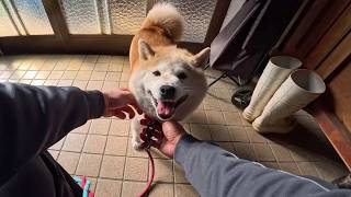 ニコニコモモさんと玄関からの帰宅
