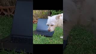 No compres la macbook neo sin ver este video