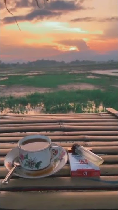 story' ngeteh di pinggir sawah terbaru #storywa #shorts