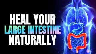 Make Your Descending Colon To Left Side | Heal Your Large Intestine Naturally | 741 Hz Detox Music screenshot 3