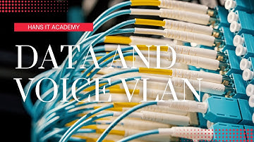 Data and voice VLAN - CompTIA Network+ N10-008 Domain 2.19