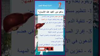 ماهو دور الكبد في جسم الانسان ؟