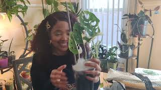 Calling all plant lovers Palmstreet unboxing featuring Fontanimal ❤️❤️💯💯😁😍