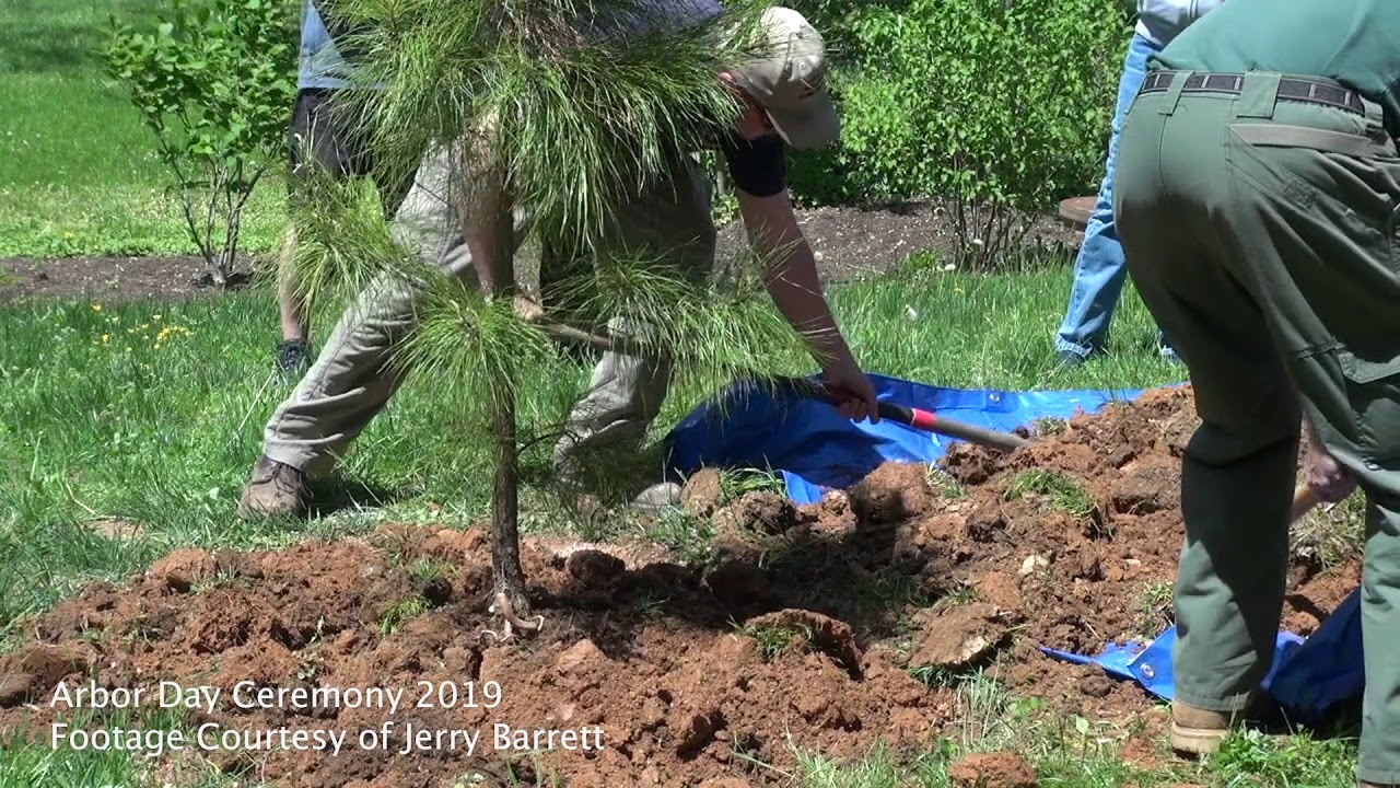Virtual Arbor Day 2020 - YouTube