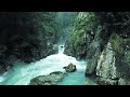 Beautiful Relaxing Music 🌿 Stress Relief, Water Sound and Sleep Music, Spa & Yoga, Meditation Music