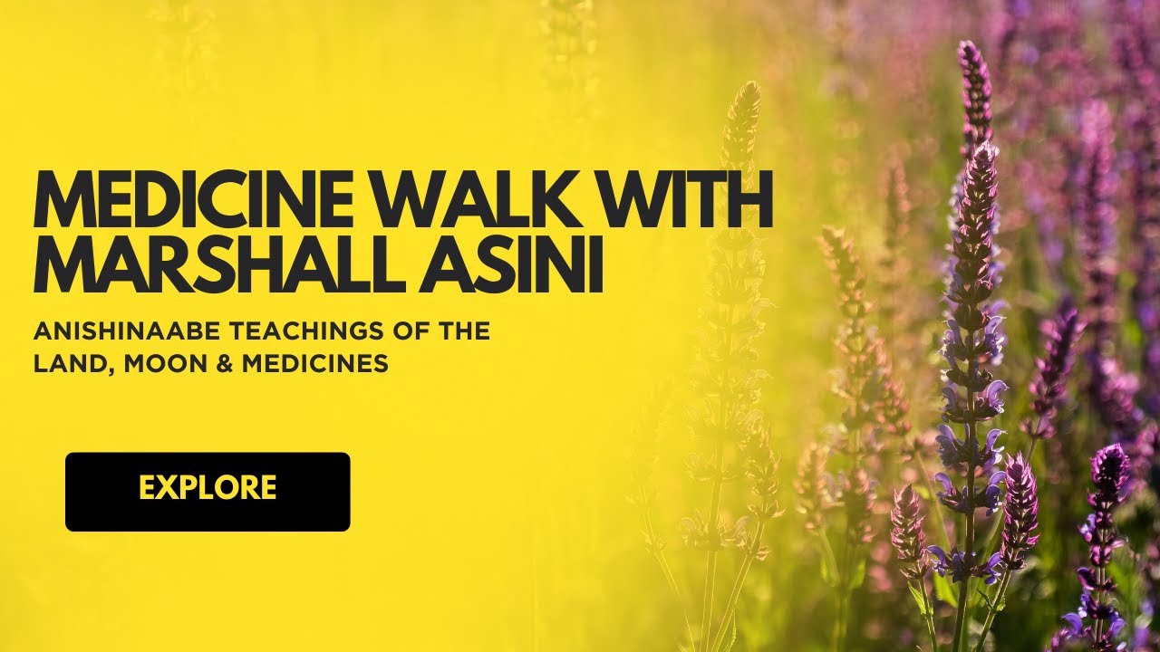 Medicine Walk with Marshall Asini | Anishinaabe Teachings of the Land, Moon & Medicines