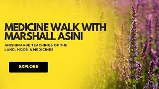 Medicine Walk With Marshall Asini Anishinaabe Teachings Of The Land, Moon & Medicines