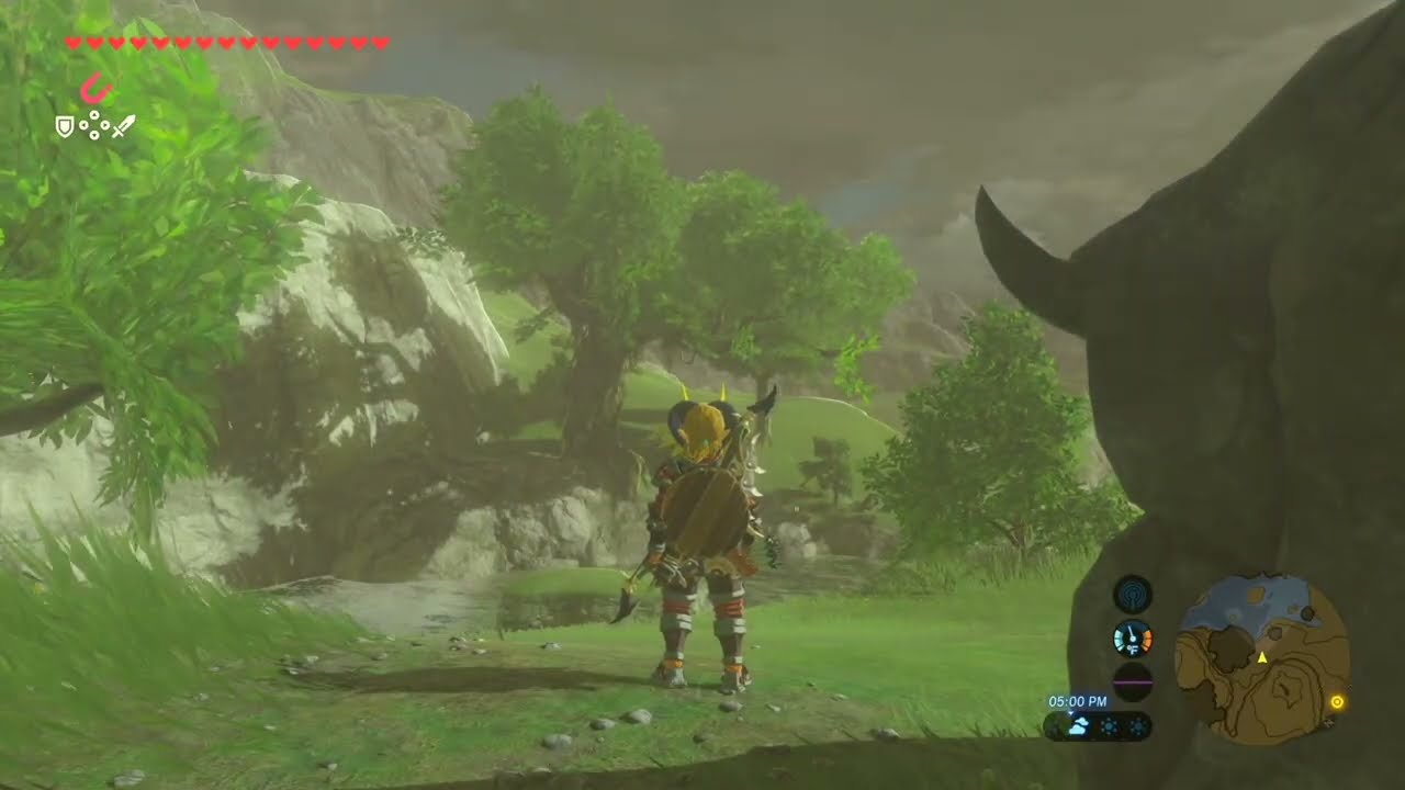 The Statue’s Bargain Side Quest – Zelda: BOTW (Switch 2)