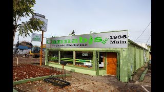 Challenges in Purchasing Cannabis Real Estate