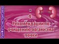 💦Рекомендации по очищению организма 4 почки