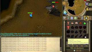 1 DEF pure's guide to Iron Dragons (Ranged Method)