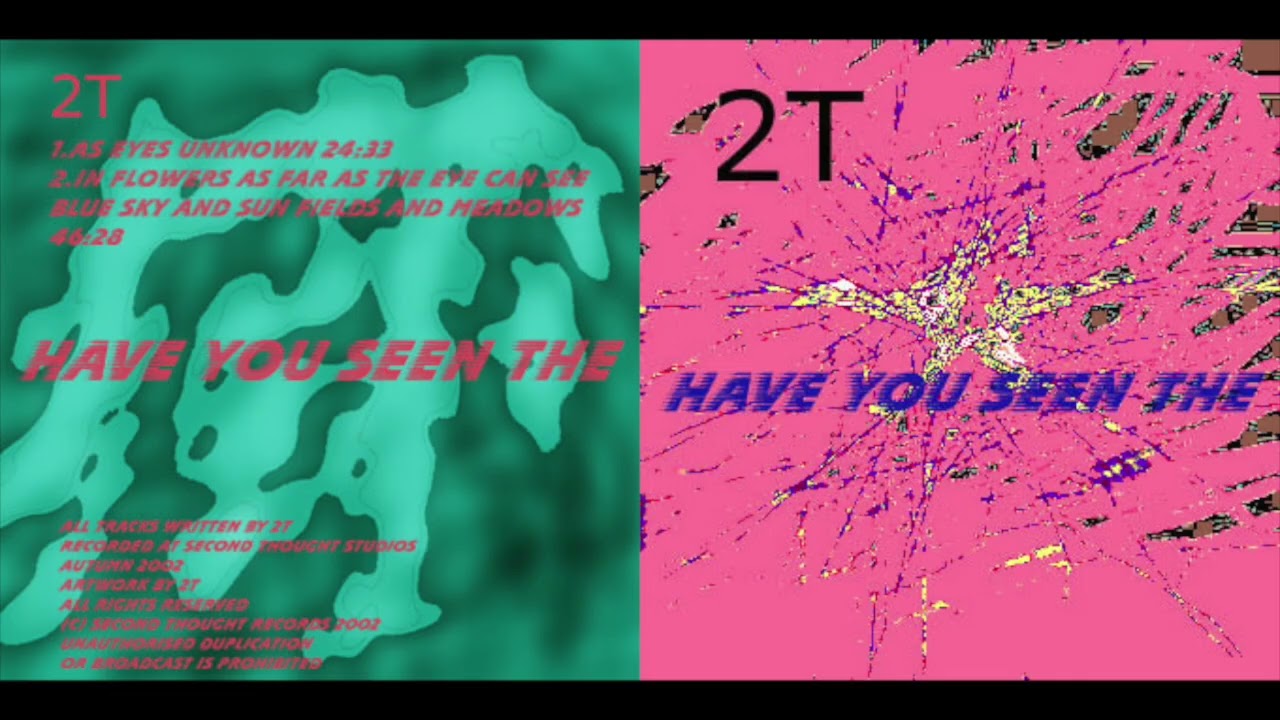 2T – Have You Seen The (2002, Second Thought, noise, experimental, minimal)