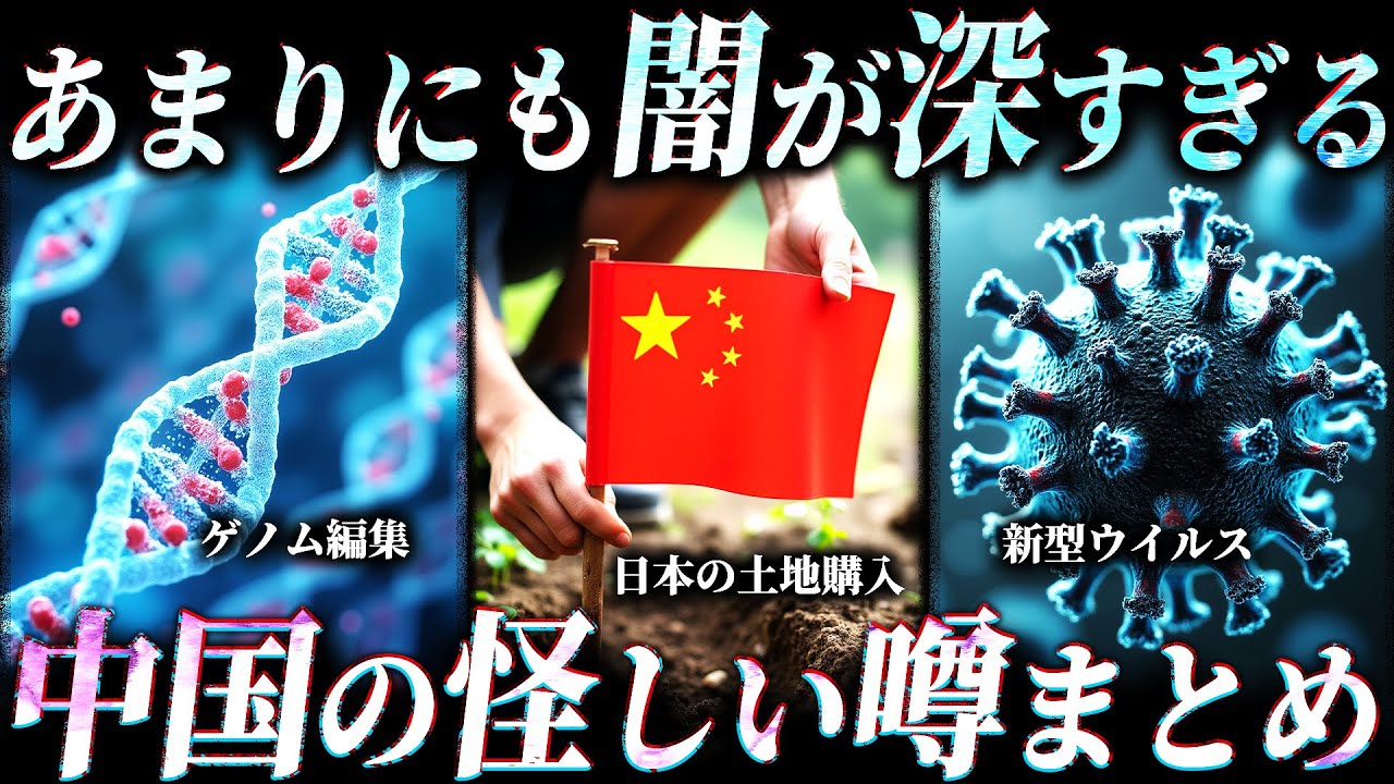 【作業用】中国にまつわる怪しい噂まとめ【たっくー切り抜き】