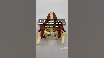 Purpose of Thrival Meat Grinders -Psoas release