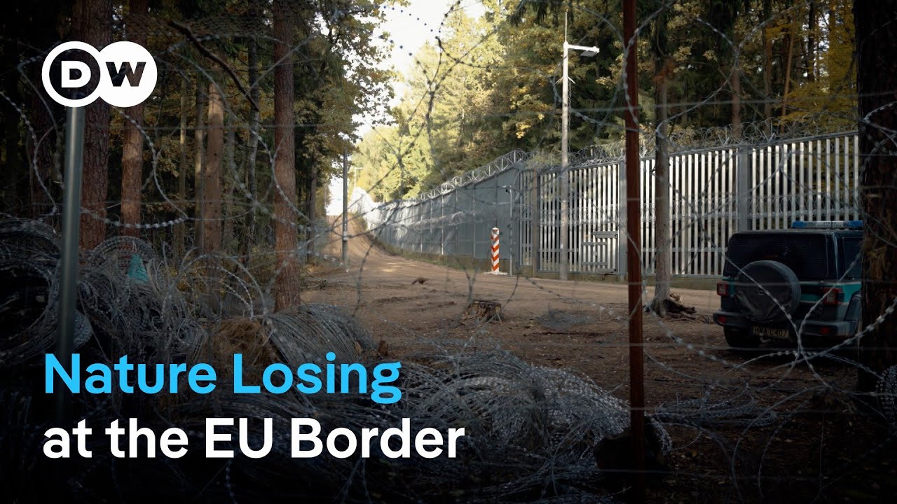 Poland's EU border: A threat to nature and people | DW News