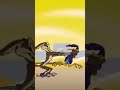 Coyote Finally Catches Roadrunner 1 