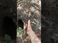 Man finds a 160yearold bayonet from the american civil war while metal detecting in the