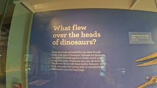Pterosaurs-creatures that flew over the heads of dinosaurs #pterosaurus #jurassicworld #trex