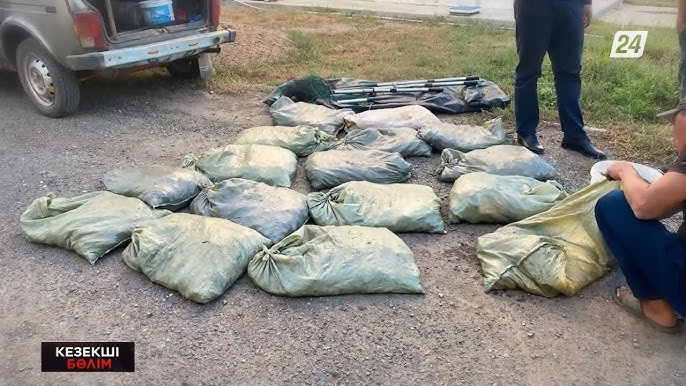 Сексуалдық сексуалдық писькилер Интернеттегі орыстардың порносы