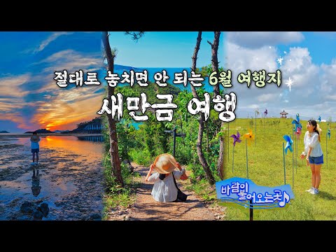 6월에 가면 좋은 국내여행지, 새만금 당일치기 가볼만한곳🌿 군산 선유도 필수 여행 코스, 신시도와 새만금 환경생태단지 생태공원 Best5