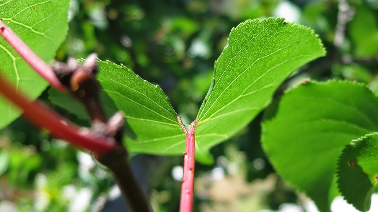 Go subscribe spooky and threadgills lets do this