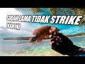 Jadi kangen sama ikan ini. Selama vlog sudah gak pernah lagi strike ikan ini. #45