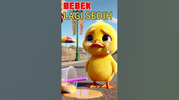 Boba Tumpah, Bebek Lucu Menangis 😭 | Cute Duckling