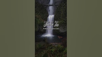 وله ما سكن في الليل والنهار وهو السميع العليم | سورة الأنعام