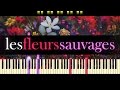 Miniature de la vidéo de la chanson Les Fleurs Sauvages