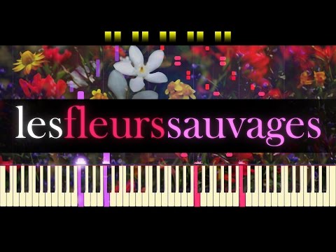 Les Fleurs Sauvages // RICHARD CLAYDERMAN