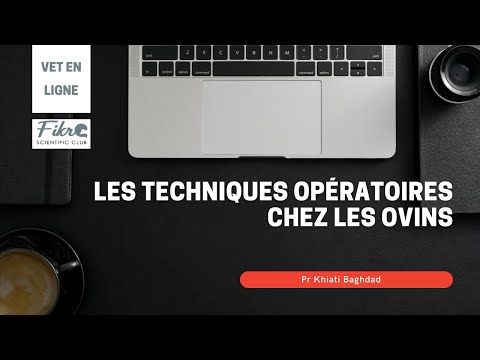 Vidéo: Quels sont les symptômes de la mammite chez un chien mère?