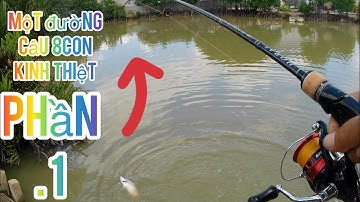 trải nghiệm chuyến câu chẽm cần giờ,.kết quả khủng khiếp\thư giãn dân dã.114#phần1