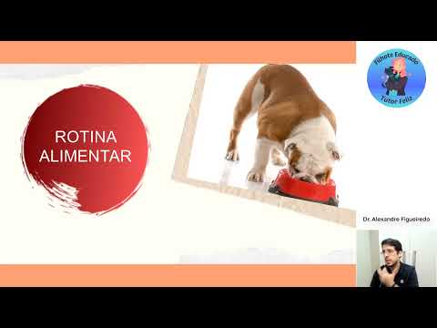 Curso Gratuito Filhote Educado Tutor Feliz - Adestrar Cachorro; Ensinar Filhote; adestramento de cães