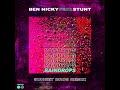 Ben Nicky ft. Stunt - Raindrops (Sunset Bros Remix)