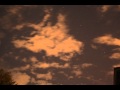 IMG 3981