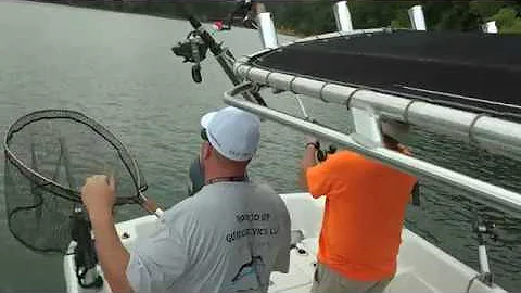 Josh Lillard catches Lake Cumberland Striper