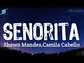 Shawn Mendes,Camila Cabello Señorita (Lyrics) SKY-Lyrics | #SEÑORITALYRICS #SKY-Lyrics