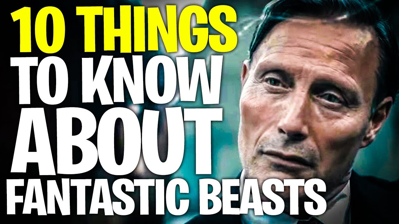 Everything You NEED To Know Before Watching FANTASTIC BEASTS: The