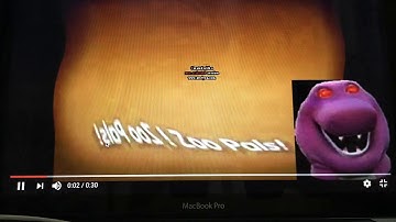 Zoopals in Weird Code in Luig Group Effect