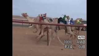 فوز معلن بالمركز الاول للسيد سالم سعدون الشمرى وفوز متعب بالمركز الثانى للسيد هلال رشيد العنزى