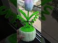 #diycrafts#pipecleanercrafts#nanismomlife#trendingshorts #virralshorts