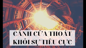NGÀY 7/28 CÁNH CỬA THOÁT KHỎI SỰ TIÊU CỰC | Hành trình phép màu