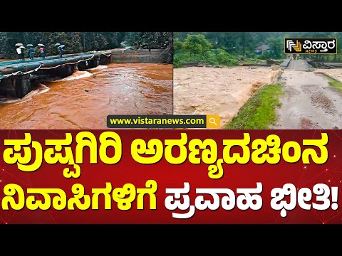 ಭೋರ್ಗರೆಯುತ್ತಿದೆ ಗೌರಿ ಹೊಳೆ! | Dakshina Kannada heavy rainfall | Vistara News