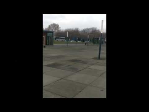 ზებრა ქალაქ დრეზდენის ქუჩებში/ Zebra races around German city