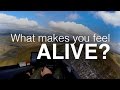 What makes you feel Alive?