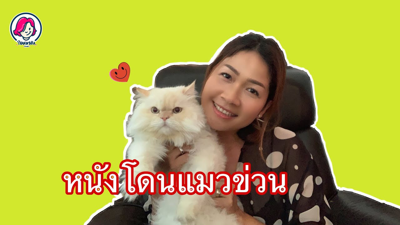 อาชีพเสริม | เรียนฟรี | ซ่อมโซฟาหนังหลังจากโดนแมวทำลาย | ซ่อมเบาะหนัง | เก่งกับกระเป๋า | diy