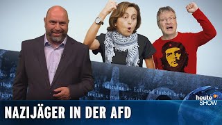 Kalbitz-Rauswurf: Entnazifiziert die AfD sich jetzt selbst?