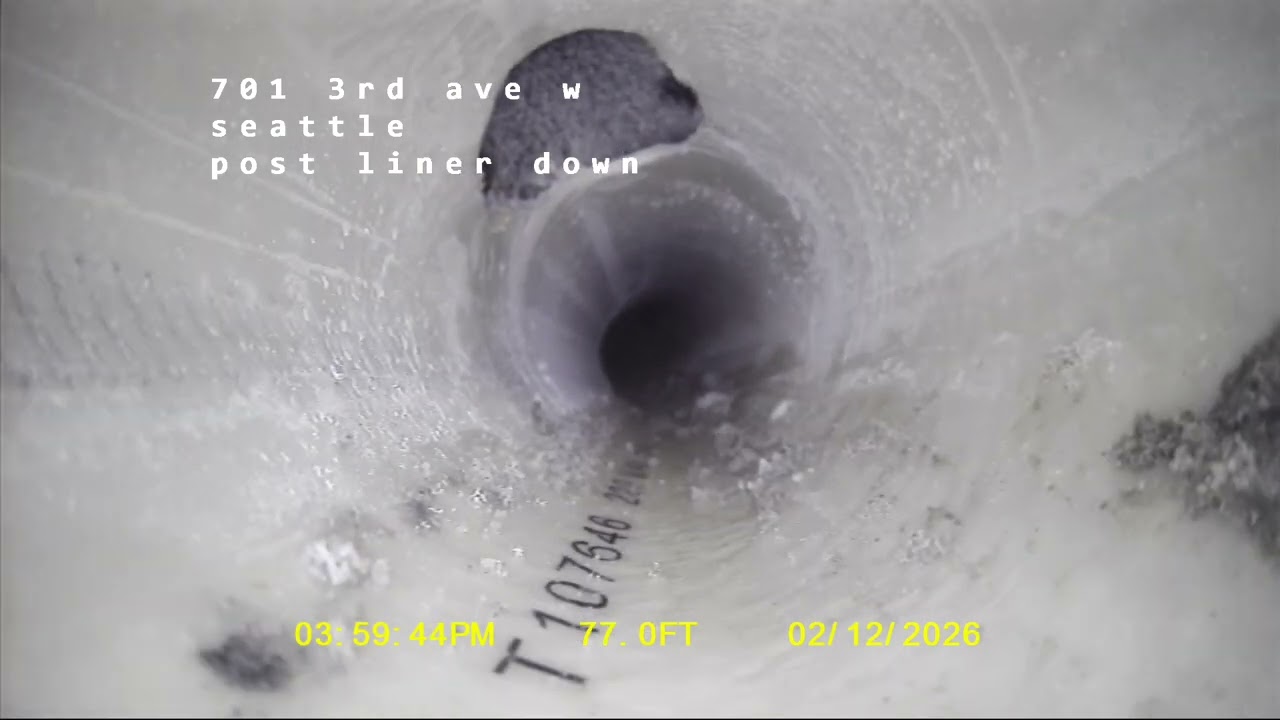 Roy crest down hill - Liner