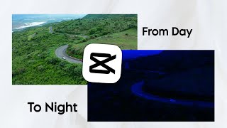How to Edit Day to Night Video in CapCut screenshot 5
